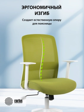 Кресло Cactus  CS-WMC333-GN