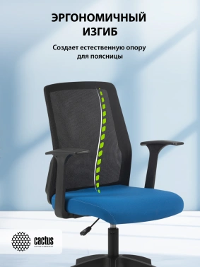 Кресло Cactus  CS-MC222-BKBL