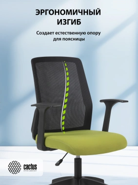 Кресло Cactus  CS-MC222-BKGN