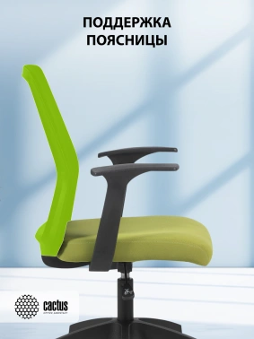 Кресло Cactus  CS-MC222-BKGN