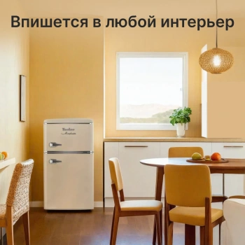 Холодильник Tesler RT-97