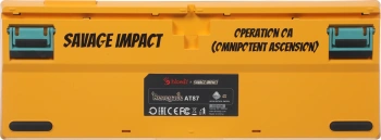 Клавиатура A4Tech AT87 Renegade