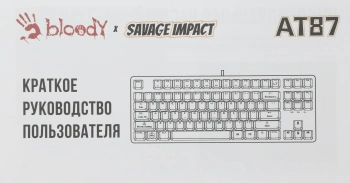 Клавиатура A4Tech AT87 Renegade