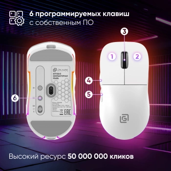 Мышь Оклик 900GMW