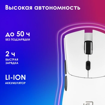 Мышь Оклик 801GW