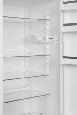 Холодильник Liebherr CTe 2931