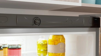 Холодильник Indesit ITS 4200 G