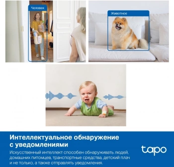 Камера видеонаблюдения IP TP-Link  Tapo C125