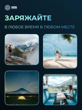 Мобильный аккумулятор Cactus  CS-PBFSEA-20000