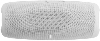Колонка порт. JBL Charge 5
