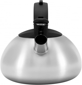 Чайник металлический Rondell Sieden RDS-088