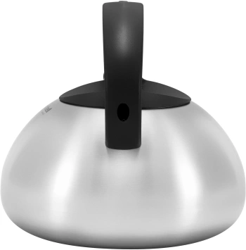 Чайник металлический Rondell Sieden RDS-088