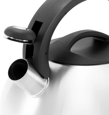 Чайник металлический Rondell Sieden RDS-088