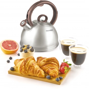 Чайник металлический Rondell Kortado RDS-1035