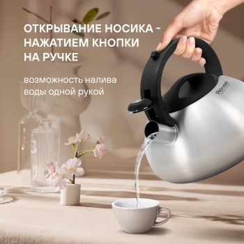 Чайник металлический Rondell Krafter RDS-1607