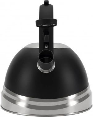 Чайник металлический Rondell Walzer RDS-1827