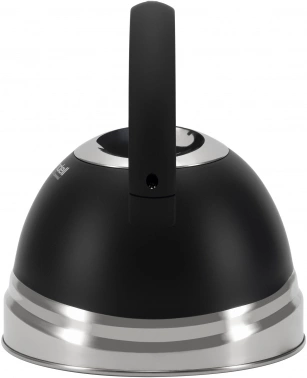 Чайник металлический Rondell Walzer RDS-1827