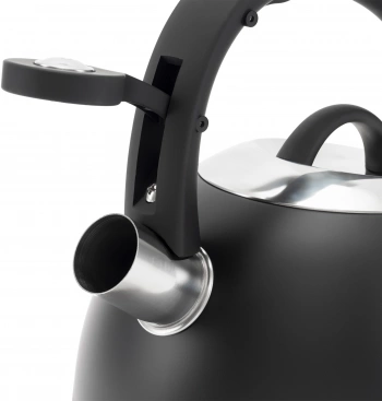 Чайник металлический Rondell Walzer RDS-1827
