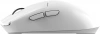 2043421_v02_s.webp