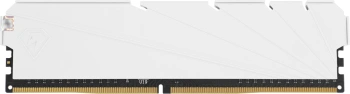 Память DDR4 2x8GB 3600MHz Netac  NTSSD4P36DP-16W