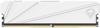 Память DDR4 2x8GB 3200MHz Netac  NTSSD4P32DP-16W