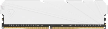 Память DDR4 2x8GB 3200MHz Netac  NTSSD4P32DP-16W