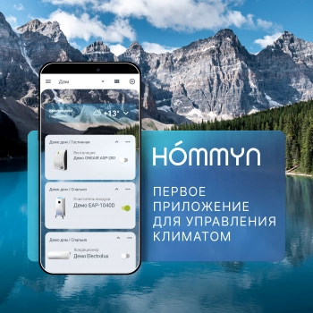 Модуль Hommyn HDN/WFN-02-01