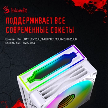 Устройство охлаждения(кулер) Bloody BD-AC205-ARGB1