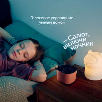 Умная колонка Sber Boom Home SBDV-00171G