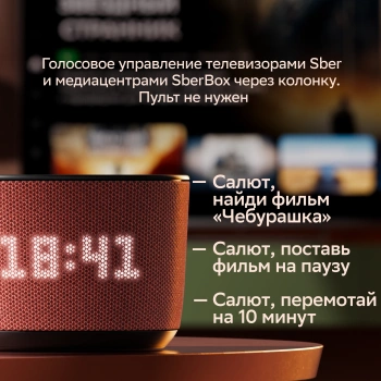 Умная колонка Sber Boom Home SBDV-00171G