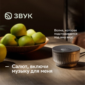 Умная колонка Sber Boom Mini 2 SBDV-00250G
