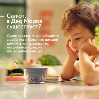 Умная колонка Sber Boom Mini 2 SBDV-00250G