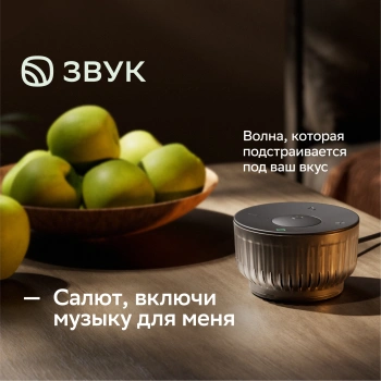 Умная колонка Sber Boom Mini 2 SBDV-00250B