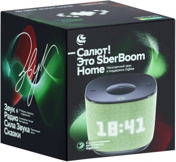 Умная колонка Sber Boom Home SBDV-00171V