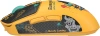 2046700_v26_s.webp