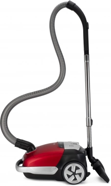 Пылесос Rondell RDE-2054