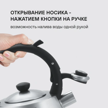 Чайник металлический Rondell Admiring RDS-1898