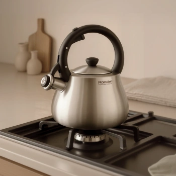 Чайник металлический Rondell Admiring RDS-1898