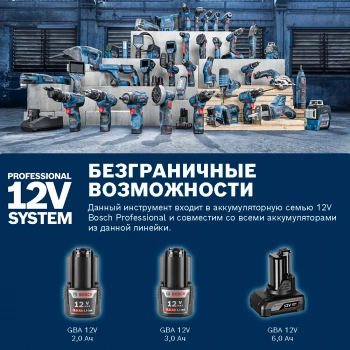 Эксцентриковая шлифмашина Bosch  GEX 12V-125