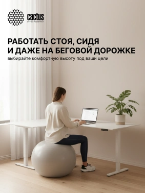 Подстолье Cactus  CS-EDXLF-WT