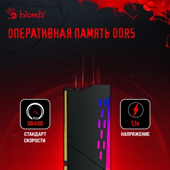 Память DDR5 16GB 4800MHz Bloody  BDM016A4800RS