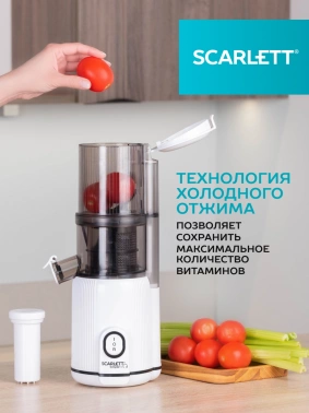 Соковыжималка шнековая Scarlett SC-JE50S63