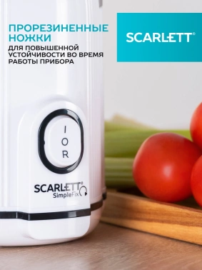 Соковыжималка шнековая Scarlett SC-JE50S63