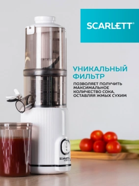 Соковыжималка шнековая Scarlett SC-JE50S63