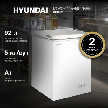Морозильный ларь Hyundai CH10031