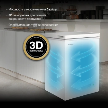 Морозильный ларь Hyundai CH10031
