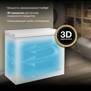 Морозильный ларь Hyundai CH20031
