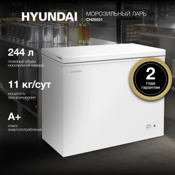 Морозильный ларь Hyundai CH25031