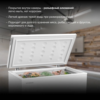 Морозильный ларь Hyundai CH25031