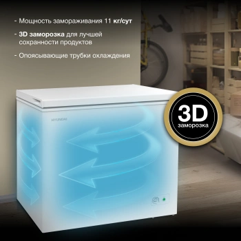 Морозильный ларь Hyundai CH25031